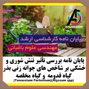 پایان نامه بررسی تأثیر تنش شوری و خشکی بر شاخص های  جوانه زنی بذر گیاه قدومه (Alyssum spp) و  گیاه مخلصه (Tanacetum Partenium) (کارشناسی ارشد)