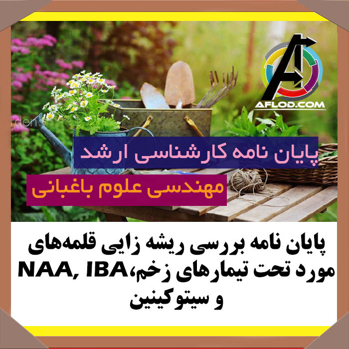 پایان نامه بررسی ریشه زایی قلمه‌های مورد تحت تیمارهای زخم،NAA, IBA و سیتوکینین (کارشناسی ارشد)