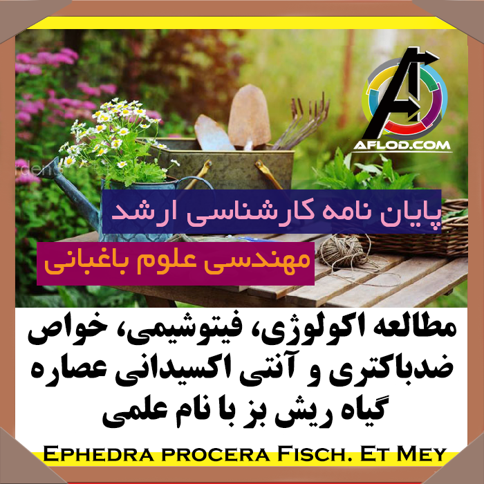 پایان نامه عصاره گياه ريش بز با نام علمی  Ephedra procera Fisch. Et Mey